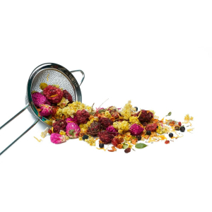 �������� ����� ESTHETIC - ��������� ��� ����� � ���������� "���� �����"